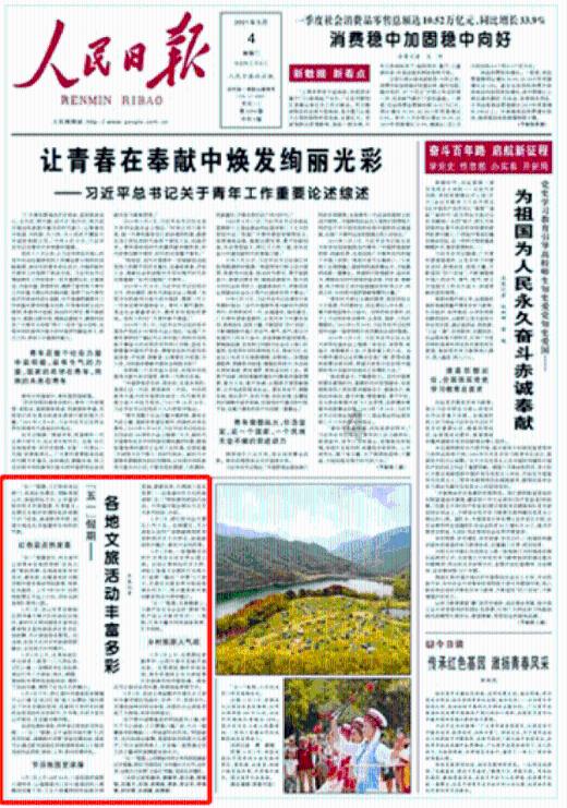 美妙森林找不同