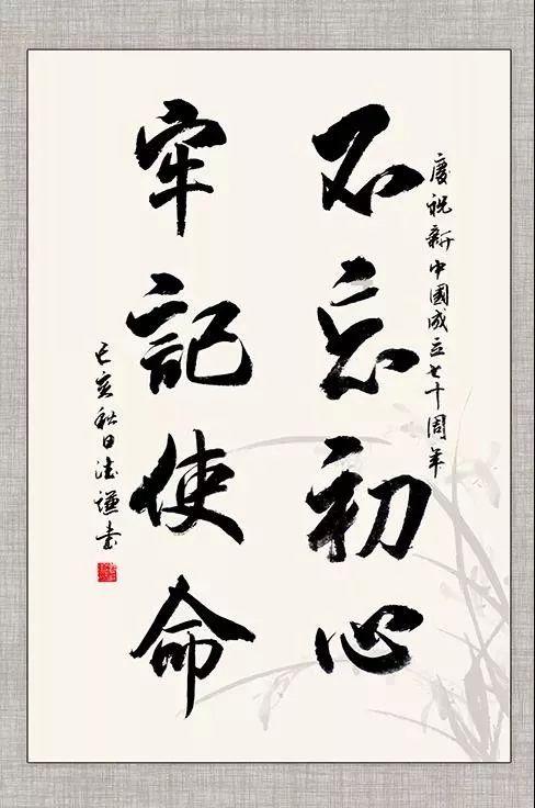 救援猫与武士